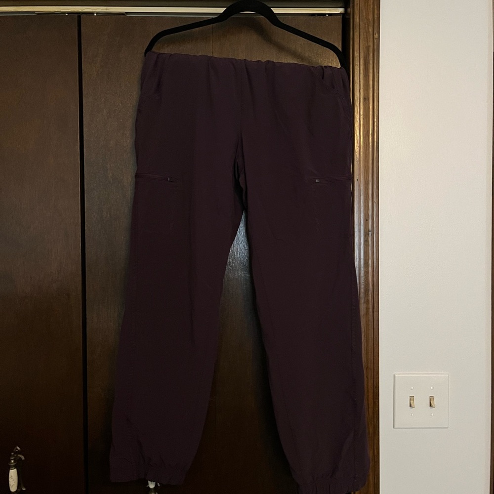 Fleece lined Eddie Bauer pants
